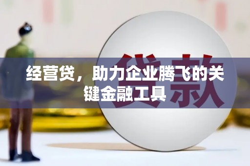 金阳经营贷，助力企业腾飞的关键金融工具