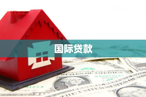金阳国际贷款