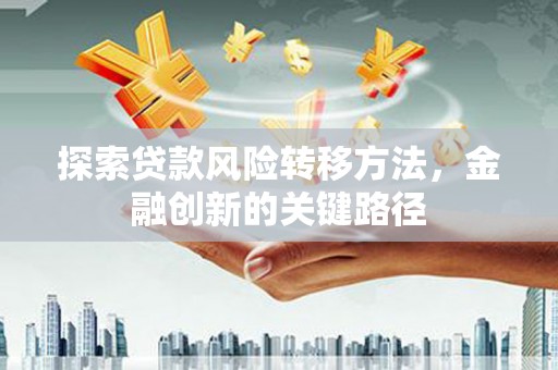 金阳探索贷款风险转移方法，金融创新的关键路径