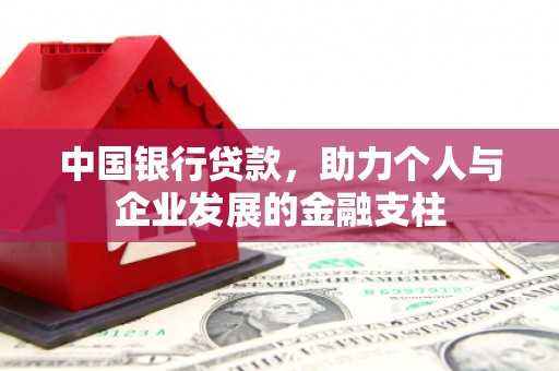 金阳中国银行贷款，助力个人与企业发展的金融支柱