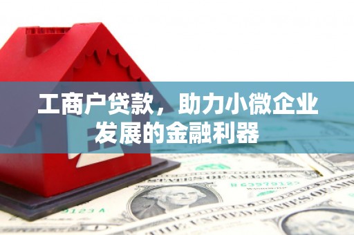 金阳工商户贷款，助力小微企业发展的金融利器