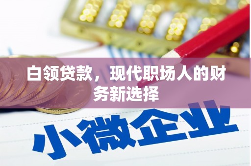 金阳白领贷款，现代职场人的财务新选择