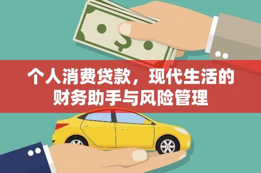 金阳个人消费贷款，现代生活的财务助手与风险管理