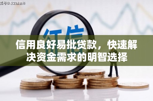 金阳信用良好易批贷款，快速解决资金需求的明智选择