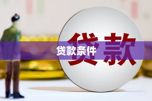 金阳贷款条件