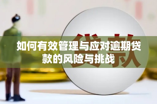 金阳如何有效管理与应对逾期贷款的风险与挑战