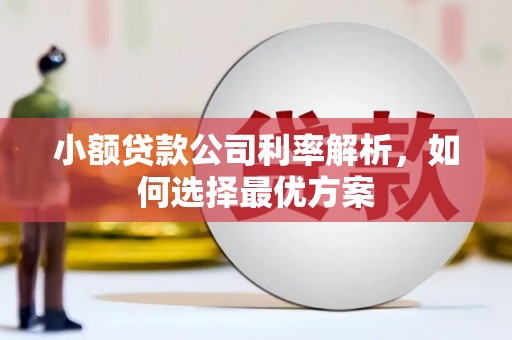 金阳小额贷款公司利率解析，如何选择最优方案