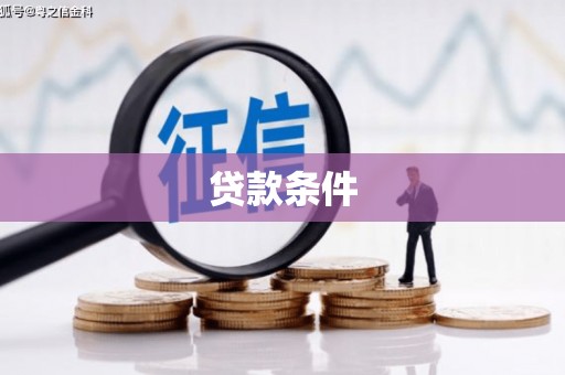 金阳贷款条件