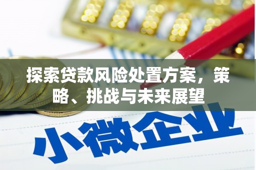 金阳探索贷款风险处置方案，策略、挑战与未来展望