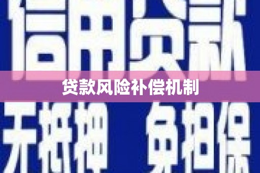 金阳贷款风险补偿机制