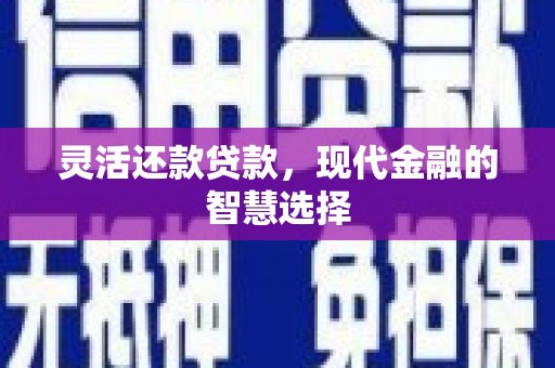 金阳灵活还款贷款，现代金融的智慧选择