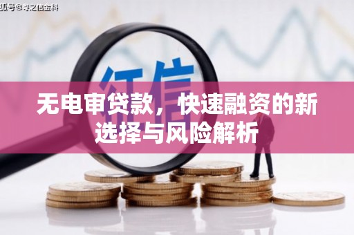 金阳无电审贷款，快速融资的新选择与风险解析