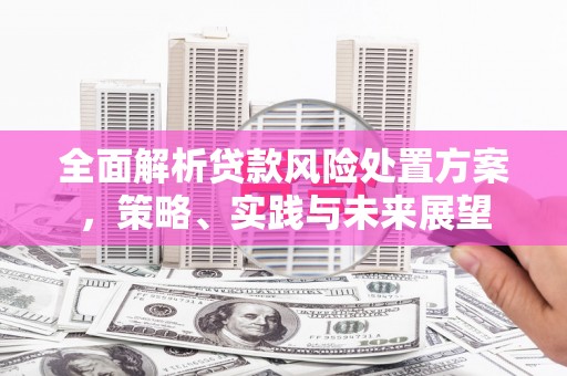 金阳全面解析贷款风险处置方案，策略、实践与未来展望