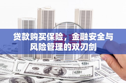 金阳贷款购买保险，金融安全与风险管理的双刃剑