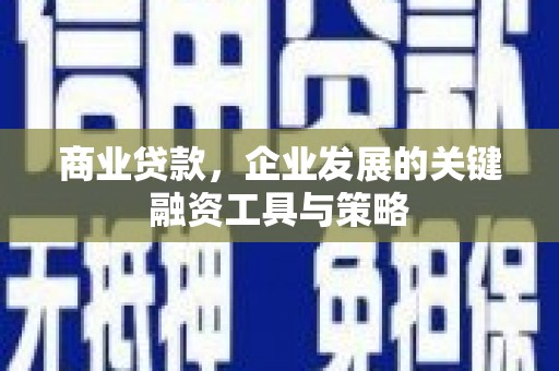 金阳商业贷款，企业发展的关键融资工具与策略