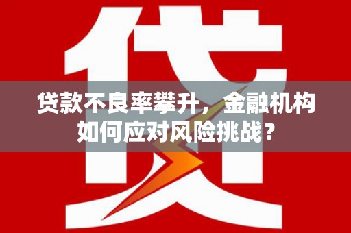 金阳贷款不良率攀升，金融机构如何应对风险挑战？