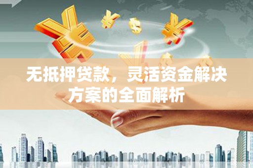 金阳无抵押贷款，灵活资金解决方案的全面解析