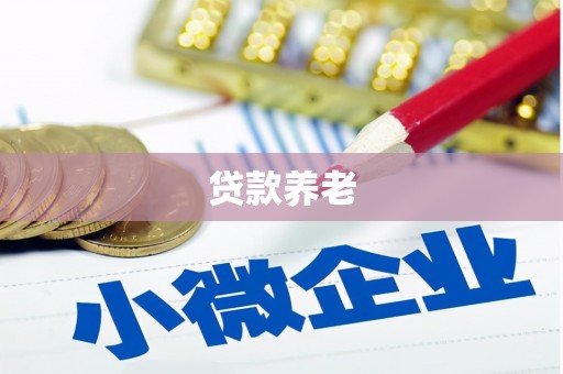 金阳贷款养老