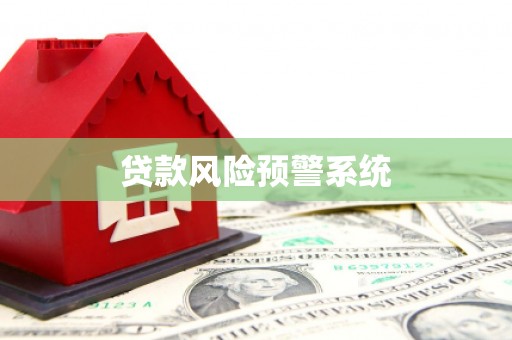 金阳贷款风险预警系统