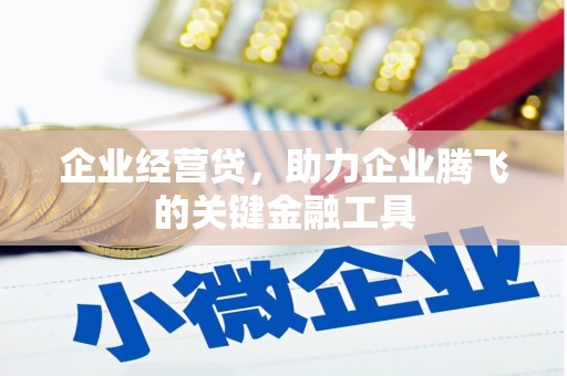 金阳企业经营贷，助力企业腾飞的关键金融工具