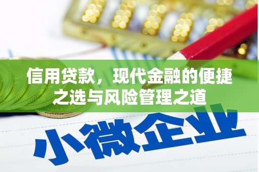 金阳信用贷款，现代金融的便捷之选与风险管理之道