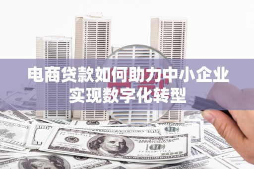 金阳电商贷款如何助力中小企业实现数字化转型