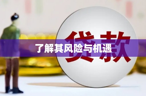 金阳了解其风险与机遇