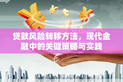 金阳贷款风险转移方法，现代金融中的关键策略与实践