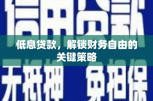 金阳低息贷款，解锁财务自由的关键策略