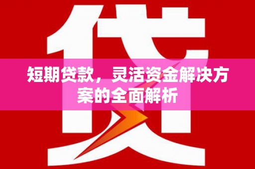金阳短期贷款，灵活资金解决方案的全面解析