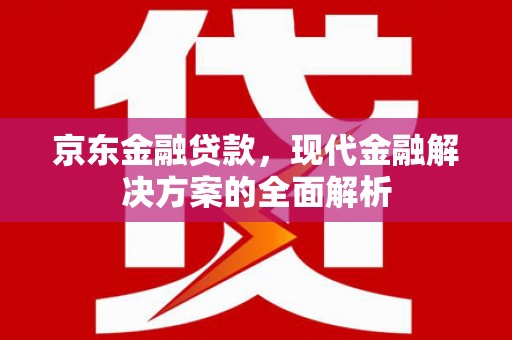金阳京东金融贷款，现代金融解决方案的全面解析