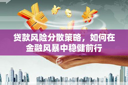 金阳贷款风险分散策略，如何在金融风暴中稳健前行