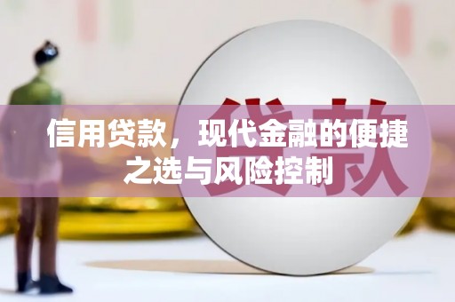金阳信用贷款，现代金融的便捷之选与风险控制