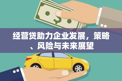 金阳经营贷助力企业发展，策略、风险与未来展望