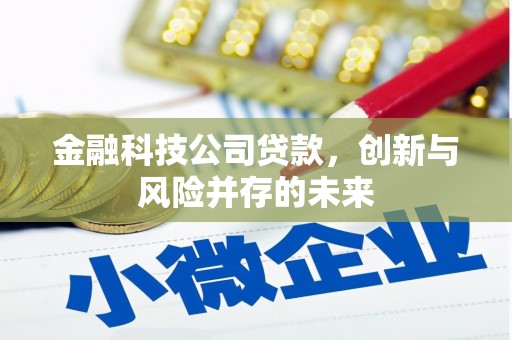 金阳金融科技公司贷款，创新与风险并存的未来