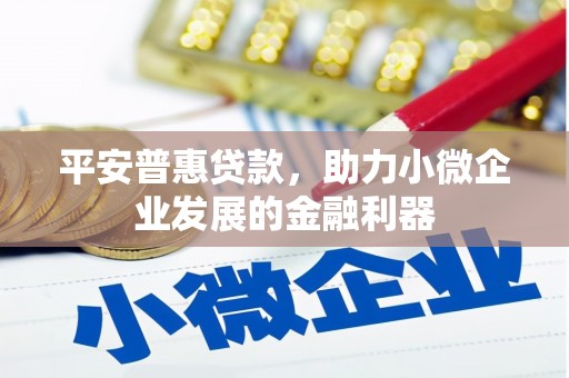 金阳平安普惠贷款，助力小微企业发展的金融利器