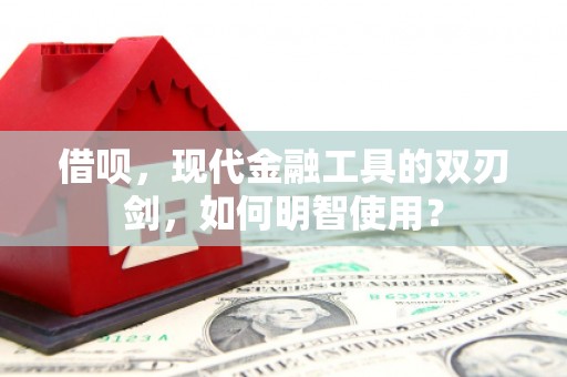 金阳借呗，现代金融工具的双刃剑，如何明智使用？
