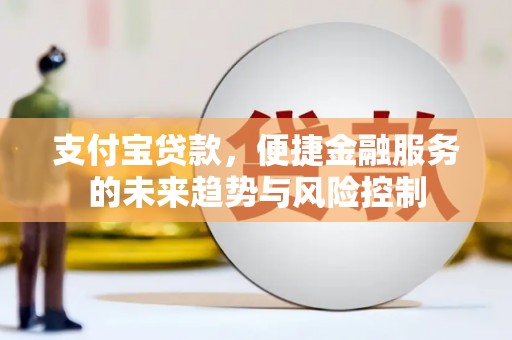 金阳支付宝贷款，便捷金融服务的未来趋势与风险控制