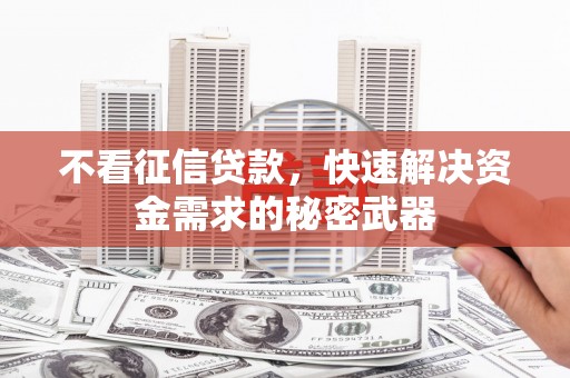 金阳不看征信贷款，快速解决资金需求的秘密武器