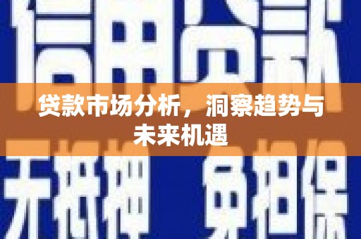 金阳贷款市场分析，洞察趋势与未来机遇