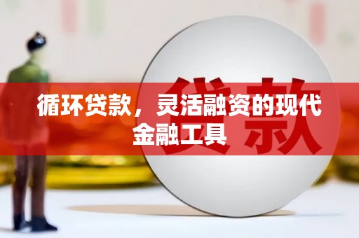 金阳循环贷款，灵活融资的现代金融工具