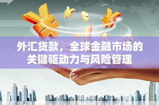 金阳外汇贷款，全球金融市场的关键驱动力与风险管理