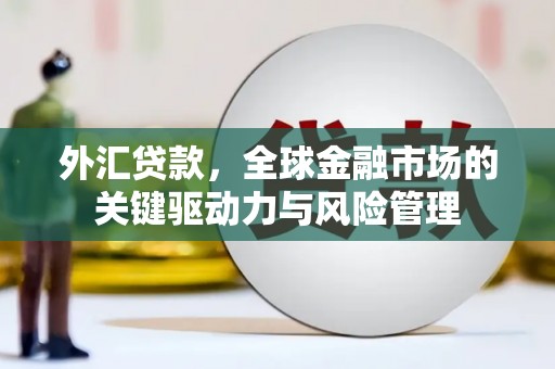 金阳外汇贷款，全球金融市场的关键驱动力与风险管理