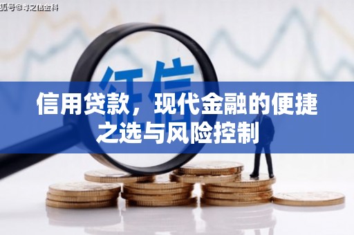 金阳信用贷款，现代金融的便捷之选与风险控制