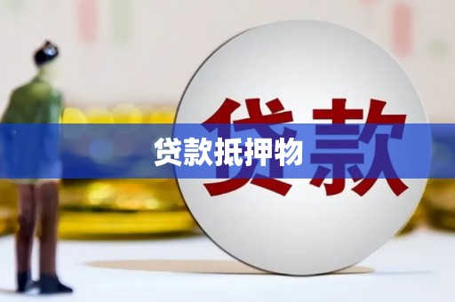 金阳贷款抵押物
