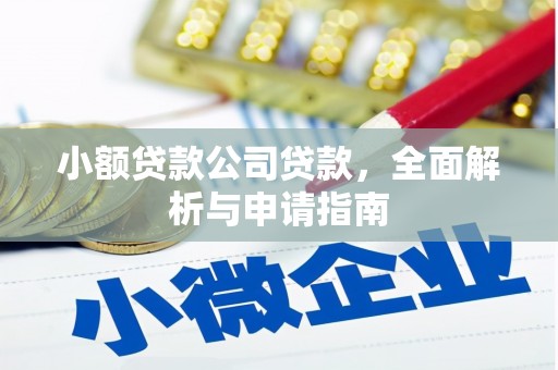 金阳小额贷款公司贷款，全面解析与申请指南