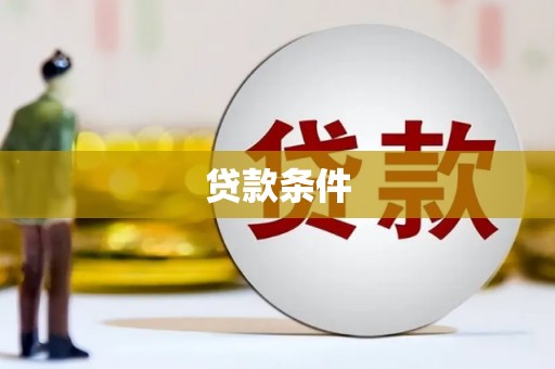 金阳贷款条件
