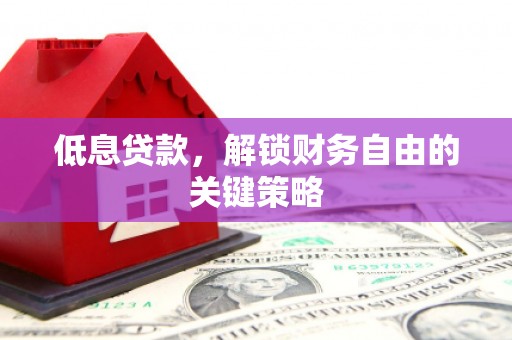 金阳低息贷款，解锁财务自由的关键策略