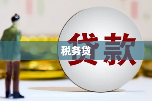 金阳税务贷