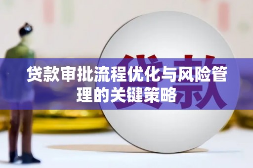 金阳贷款审批流程优化与风险管理的关键策略